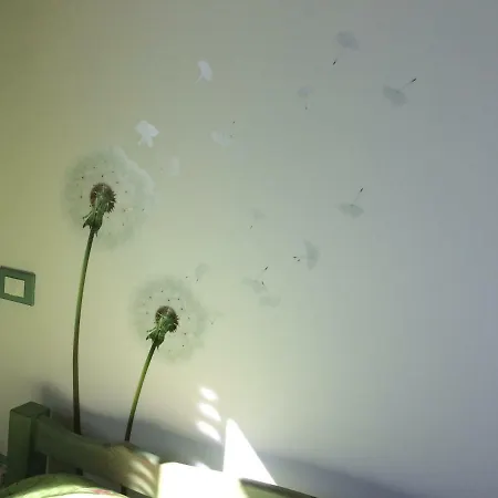 Bed and breakfast Al Tardino